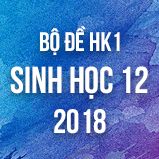 Bộ đề thi HK1 môn Sinh học lớp 12 năm 2018