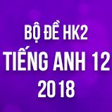 Bộ đề thi HK2 môn Tiếng Anh lớp 12 năm 2018