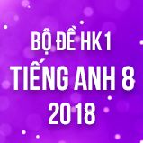 Bộ đề thi HK1 môn Tiếng Anh lớp 8 năm 2018