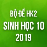 Bộ đề thi HK2 môn Sinh học lớp 10 năm 2019