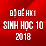 Bộ đề thi HK1 môn Sinh học lớp 10 năm 2018