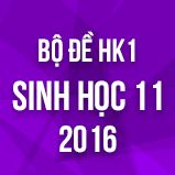 Bộ đề thi HK1 môn Sinh học lớp 11 năm 2016