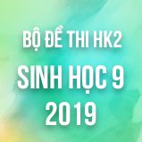 Bộ đề thi HK2 môn Sinh học lớp 9 năm 2019