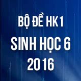 Bộ đề thi HK1 môn Sinh học lớp 6 năm 2016