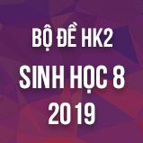 Bộ đề thi HK2 môn Sinh học lớp 8 năm 2019