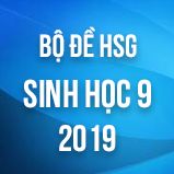 Bộ đề thi HSG môn Sinh học lớp 9 năm 2018 - 2019