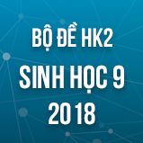 Bộ đề thi HK2 môn Sinh học lớp 9 năm 2017-2018