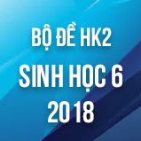 Bộ đề thi HK2 môn Sinh học lớp 6 năm 2018