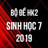 Bộ đề thi HK2 môn Sinh học lớp 7 năm 2019