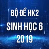 Bộ đề thi HK2 môn Sinh học lớp 6 năm 2019