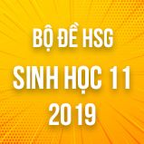Bộ đề thi HSG môn Sinh học lớp 11 năm 2018-2019