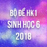 Bộ đề thi HK1 môn Sinh lớp 6 năm 2018