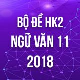 Bộ đề thi HK2 môn Ngữ văn lớp 11 năm 2018