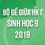 Bộ đề thi giữa HK1 môn Sinh học lớp 9 năm 2019