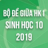 Bộ đề thi giữa HK1 môn Sinh học lớp 10 năm 2019
