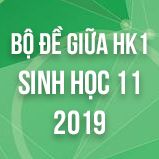 Bộ đề thi giữa HK1 môn Sinh học lớp 11 năm 2019