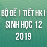 Bộ đề kiểm tra 1 tiết HK1 môn Sinh học lớp 12 năm 2019