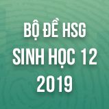 Bộ đề thi HSG môn Sinh học lớp 12 năm 2019