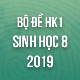 Bộ đề thi HK1 môn Sinh học lớp 8 năm 2019