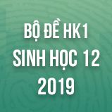 Bộ đề thi HK1 môn Sinh học lớp 12 năm 2019