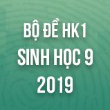 Bộ đề thi HK1 môn Sinh học lớp 9 năm 2019