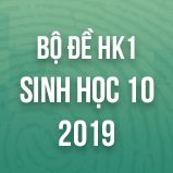 Bộ đề thi HK1 môn Sinh học lớp 10 năm 2019