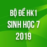 Bộ đề thi HK1 môn Sinh học lớp 7 năm 2019