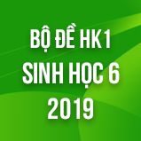 Bộ đề thi HK1 môn Sinh học lớp 6 năm 2019