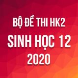 Bộ đề thi HK2 môn Sinh học lớp 12 năm 2020