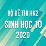 Bộ đề thi HK2 môn Sinh học lớp 10 năm 2020