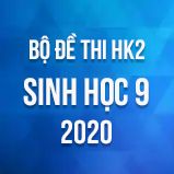 Bộ đề thi HK2 môn Sinh học lớp 9 năm 2020