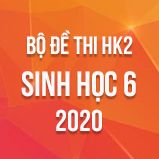Bộ đề thi HK2 môn Sinh học lớp 6 năm 2020