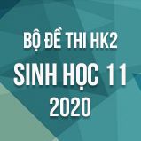 Bộ đề thi HK2 môn Sinh học lớp 11 năm 2020