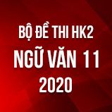 Bộ đề thi HK2 môn Ngữ Văn lớp 11 năm 2020