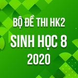 Bộ đề thi HK2 môn Sinh học lớp 8 năm 2020