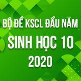 Bộ đề kiểm tra KSCL đầu năm môn Sinh lớp 10 năm 2020