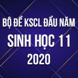 Bộ đề kiểm tra KSCL đầu năm môn Sinh lớp 11 năm 2020