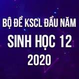 Bộ đề kiểm tra KSCL đầu năm môn Sinh lớp 12 năm 2020