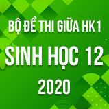 Bộ đề thi giữa HK1 môn Sinh học lớp 12 năm 2020