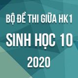 Bộ đề thi giữa HK1 môn Sinh học lớp 10 năm 2020