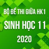 Bộ đề thi giữa HK1 môn Sinh học lớp 11 năm 2020