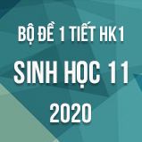 Bộ đề kiểm tra 1 tiết HK1 môn Sinh học lớp 11 năm 2020