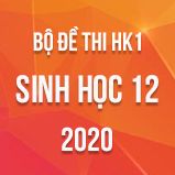 Bộ đề thi HK1 môn Sinh học lớp 12 năm 2020