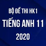 Bộ đề thi HK1 môn Tiếng Anh lớp 11 năm 2020