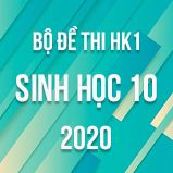 Bộ đề thi HK1 môn Sinh học lớp 10 năm 2020