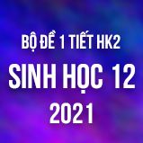 Bộ đề kiểm tra 1 tiết HK2 môn Sinh học lớp 12 năm 2021