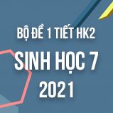 Bộ đề thi giữa HK2 môn Sinh học lớp 7 năm 2021