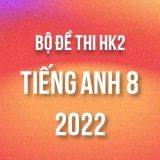 Bộ đề thi HK2 môn Tiếng Anh 8 năm 2021-2022