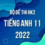 Bộ đề thi HK2 môn Tiếng Anh 11 năm 2021-2022