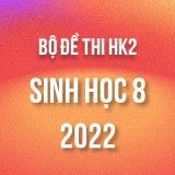 Bộ đề thi HK2 môn Sinh Học 8 năm 2021-2022